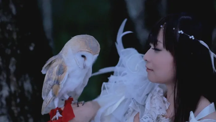 [BD日本演唱会][今井麻美 Asami Imai Music Video Collection 2013-2015][BDMV][11.5G][百度网盘]