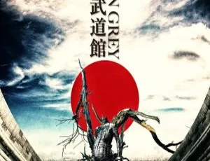 Dir en grey日本武道馆2016.6.29演唱会BD资源 78.98GB 百度网盘-小文资源网