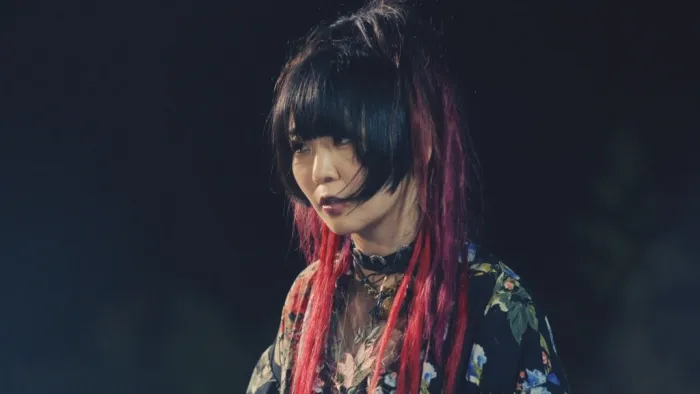 [BD日本演唱会][大森靖子 Seiko Oomori 2020][BDISO][38.95G][百度网盘]