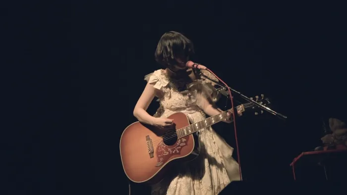 [BD日本演唱会][大森靖子 Seiko Oomori クソカワPARTY 2018][BDISO][41.03G][百度网盘]