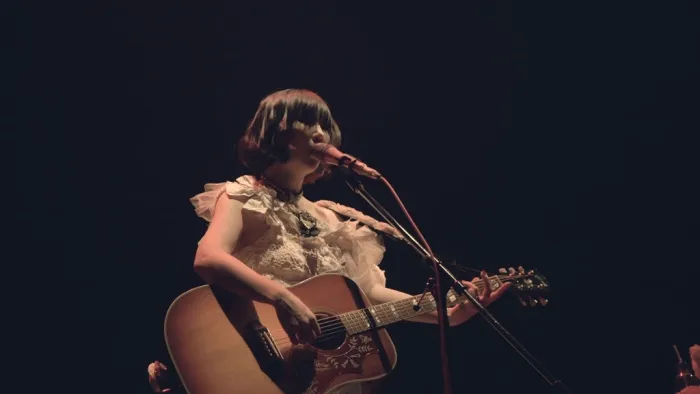 [BD日本演唱会][大森靖子 Seiko Oomori クソカワPARTY 2018][BDISO][41.03G][百度网盘]