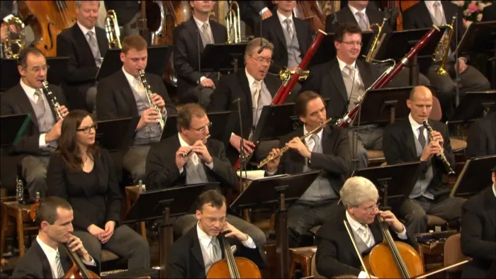 [BD欧美演唱会]2013年维也纳新年音乐会 Vienna Philharmonic New Year s Concert 2013[ISO][41.59G][百度网盘]