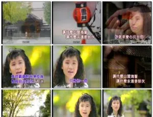 黄乙玲金曲专辑：LD转ISO版3.96G DVD音乐碟 网盘共享（KTV适用）-小文资源网