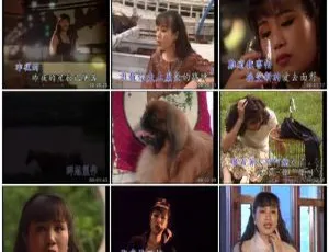 林淑容精选集 2DVD：LD 转 KTV 版 ISO 高清资源 3.73G+3.67G 百度网盘下载-小文资源网