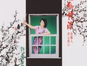 1980邓丽君富士特辑歌林复刻版DVD音乐专辑碟3.91G 百度网盘资源-小文资源网