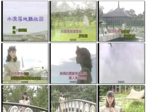 黄乙玲深情专辑KTV版3.88G DVD音乐专辑碟 百度网盘资源-小文资源网