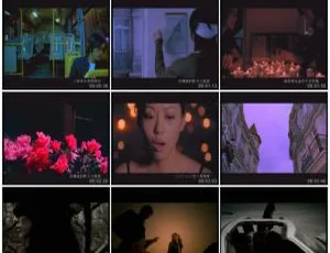 华谊群星影音盒 DVD 音乐专辑碟 1.57G 百度网盘资源-小文资源网