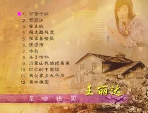 王丽达《亲吻祖国》KTV 版 DVD 音乐专辑碟 3G 百度网盘资源-小文资源网