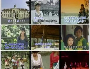 方季惟精选集 2DVD：VHS转录KTV版 3.32G+2.9G 百度网盘资源-小文资源网