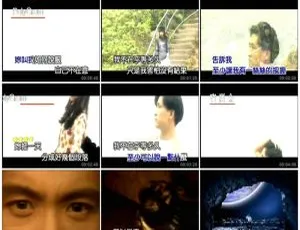 张学友个人档案 1KTV 音乐专辑 DVD 碟 4.23G+4.69G 百度网盘资源-小文资源网