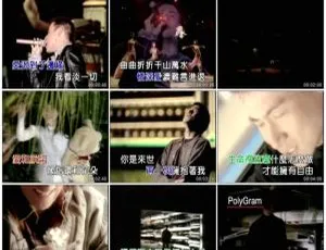 张学友个人档案 2 DVD 音乐专辑碟 4.2G+4.28G KTV 资源 百度网盘-小文资源网