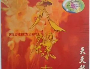 华纳金曲卡拉OK天碟18天天报喜：2DVD ISO（3.22G+3.40G）LD转 百度网盘资源-小文资源网