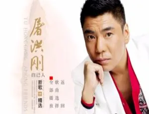 屠洪刚《自己人》新曲+精选 DVD 音乐专辑 4.22G 百度网盘资源-小文资源网