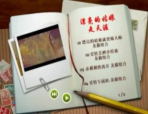 龙猫组合龙梅子VS老猫《漂亮的姑娘走天涯》MV音乐专辑DVD 1.70G百度网盘资源-小文资源网