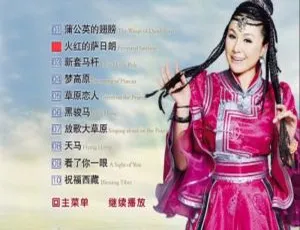 乌兰托娅《火红的萨日朗》KTV 版 DVD 音乐专辑碟 2.76G 百度网盘资源-小文资源网
