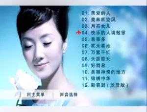 张燕《亲爱的你》KTV 必备 DVD 音乐专辑碟 2.98G 百度网盘资源-小文资源网
