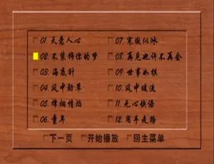 蔡国权《不装饰你的梦》KTV 版 DVD 音乐专辑碟 3.73G 百度网盘资源-小文资源网