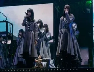 欅坂46 周年精选日本演唱会BD资源：Keyakizaka46 ANNIVERSARY-LIVE Director-s Cut Collection 52.5G 百度网盘-小文资源网