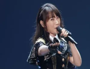 水树奈奈 2018 日本演唱会 BDMV 91G 资源 百度网盘-小文资源网