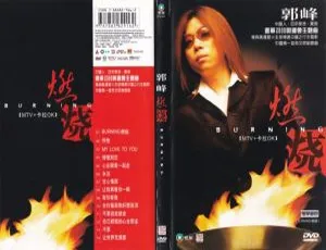 郭峰《燃烧BURNING》卡拉OK DVD音乐专辑碟 3.23G 百度网盘资源-小文资源网