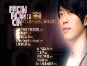 张栋梁 From Now On DVD 音乐专辑碟含 MV 2.8G 百度网盘资源-小文资源网
