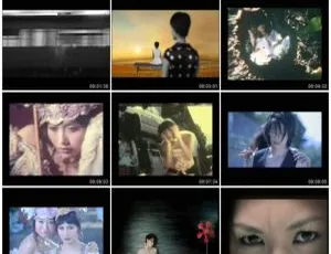 陈辉阳《12金钗众生花》DVD音乐专辑 3.54G 百度网盘资源-小文资源网