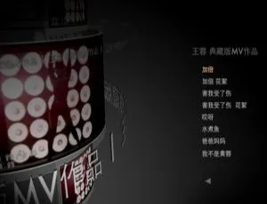 王蓉《爱爱不爱Bonus》DVD音乐专辑碟3.96G 百度网盘资源-小文资源网