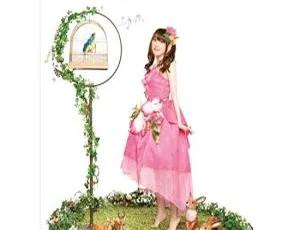 BD 珍藏！田村由香里 2009 日本演唱会 Love ♥ Live Dreamy Maple Crown 45.8G 百度网盘资源-小文资源网
