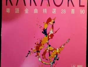 飞图8002粤语金曲精选卡拉OK群星DVD音乐专辑碟（LD转DVD 3.7G+4.04G 百度网盘）-小文资源网