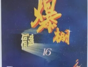 群星《飞图爆棚16国语精选卡拉OK》LD转DVD音乐专辑，4.09G+4.17G 百度网盘资源-小文资源网