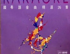 飞图8049国粤语金曲精选卡拉OK DVD音乐专辑碟：LD转DVD 双盘共7.65G 百度网盘资源-小文资源网