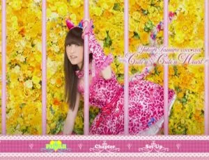 2013 田村由香里 LOVE LIVE 日本演唱会 BD 资源 78.3G 百度网盘下载-小文资源网