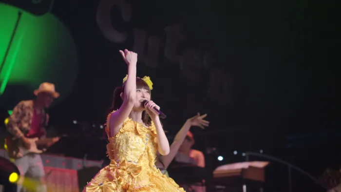 [BD日本演唱会][田村由香里2013演唱会 LOVE LIVE 2013 Cute n Cute n Heart][2BD ISO][78.3G][百度网盘]