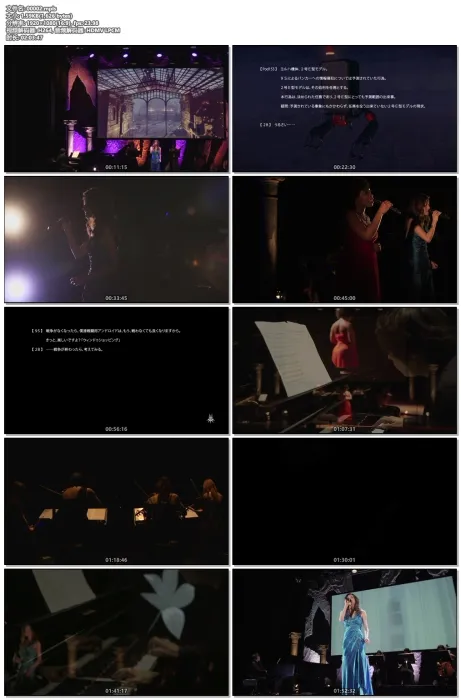 [BD日本演唱会][NieR Music Concert 2017 人形达ノ记忆][BDMV][43.7G][百度网盘]