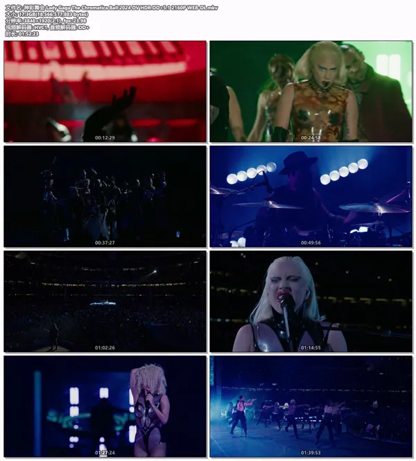 [神彩舞会演唱会 Lady Gaga – Chromatica Ball 2024][2160p HDR H265][WEB-DL MKV][17.2GB][百度网盘]