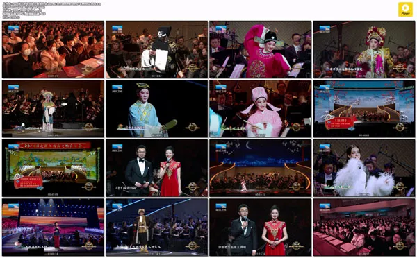 [湖北新年戏曲交响音乐会 2024][1080i MPEG2][HDTV TS][10.1GB][百度网盘]