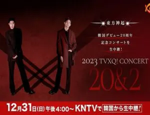 2023.12.31 东方神起跨年演唱会 HDTV TS 12.4GB 百度网盘资源-小文资源网