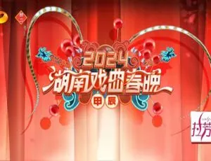 2024湖南戏曲春晚 1080i高清 5.68GB百度网盘资源-小文资源网