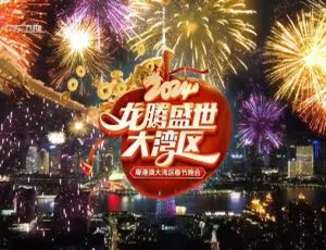 龙腾盛世大湾区 2024 高清资源 20.4GB 百度网盘分享-小文资源网