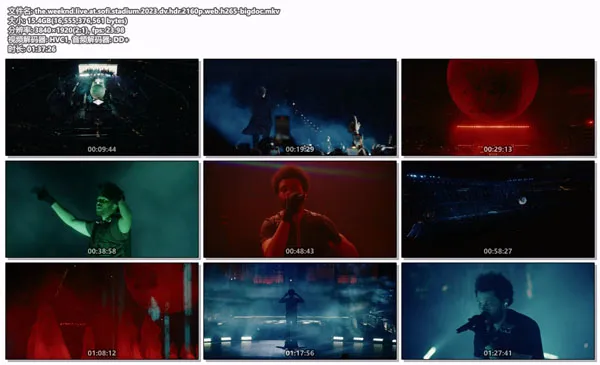 [威肯 Sofi 体育场演唱会 The Weeknd – Live at SoFi Stadium 2023][WEB-DL MKV][15.4GB][百度网盘]