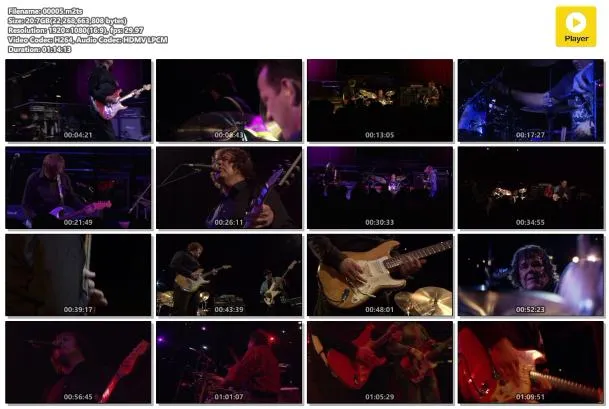 [BD欧美演唱会]盖瑞.莫尔: 吉米汉醉克斯致敬演唱会 Gary Moore Blues for Jimi 2007 [BDMV][20.9G][百度网盘]