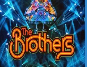 The Brothers 2020 年 3 月 10 日纽约麦迪逊广场花园欧美演唱会 BDMV 43.5G 百度网盘资源-小文资源网