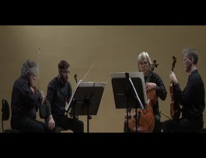 BD欧美演唱会：Arditti Quartet 2016 首次演出 VI 17.5G 百度网盘资源-小文资源网