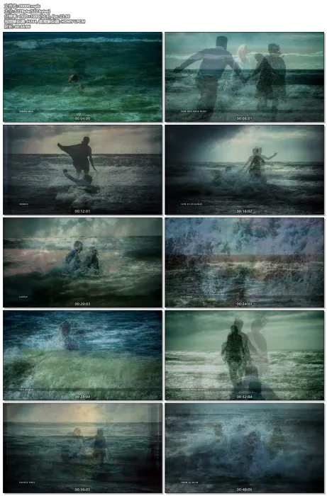 [BD欧美演唱会][Blackfield：Blackfield V 2017 Blu-ray Audio 1080p AVC DTS-HD MA 5.1][BDMV][13.9G][百度网盘]