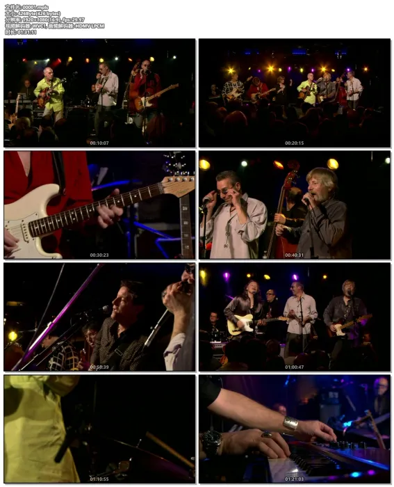 [BD欧美演唱会][Larry Carlton & Robben Ford – Autour Du Blues 2009][BDMV][21G][百度网盘]