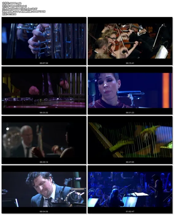 [BD欧美演唱会][The Morricone Duel：The Most Dangerous Concert Ever 2018][BDMV][19G][百度网盘]