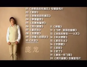 庞龙《幸福誓言》KTV 版 DVD 音乐专辑 3.36G 百度网盘资源-小文资源网