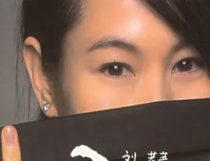 刘若英《我的失败与伟大》DVD音乐专辑碟 KTV版 2.25G DVD-ISO 百度网盘资源-小文资源网