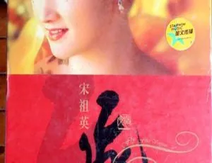 宋祖英《飞》KTV 版 DVD 音乐专辑碟 3.20G 百度网盘资源-小文资源网