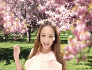 安室奈美惠2014年Ballada专辑MV及BD日本演唱会M2TS资源 21.5G 百度网盘-小文资源网